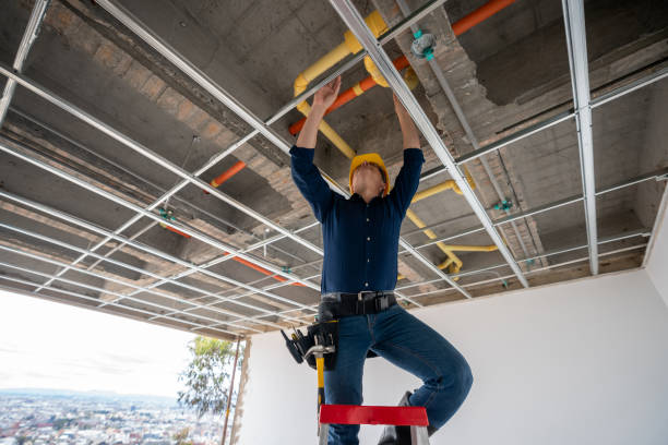 Best Local Plumber Services  in Cloverleaf, TX